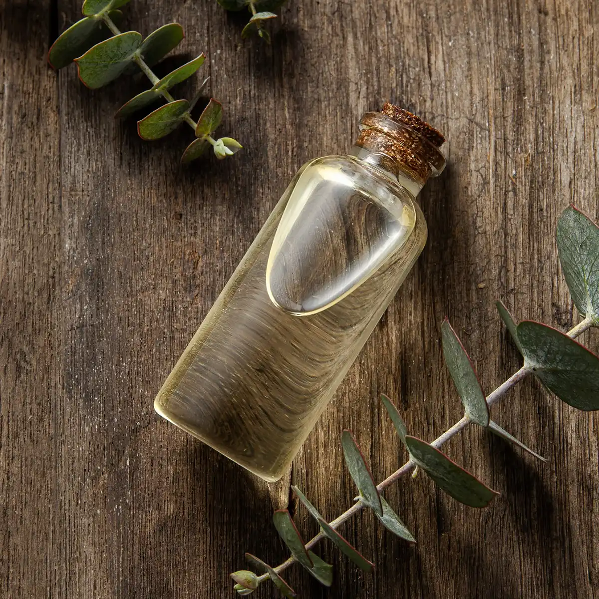 Profumi chypre: cosa sono, come riconoscerli e quali provare